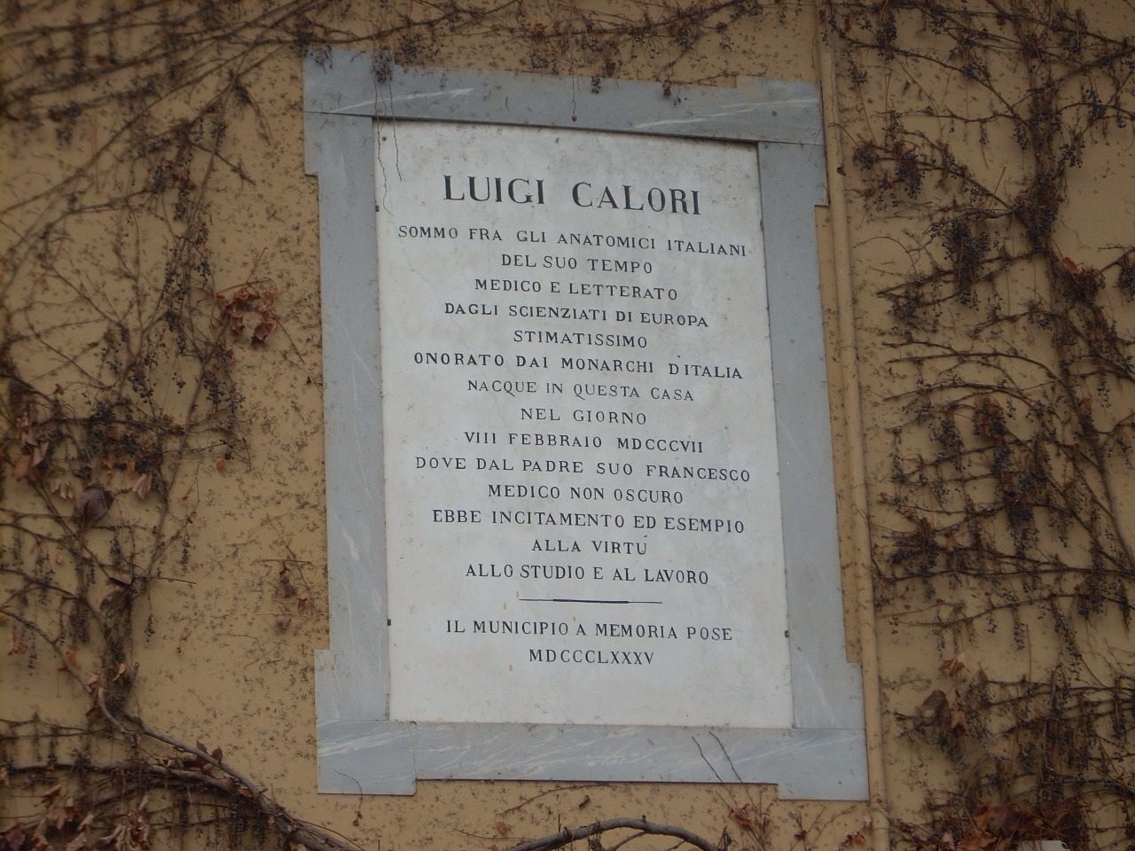 Luigi%20Calori%27s%20birthplace%2C%20San%20Pietro%20in%20Casale%20-%2003.JPG